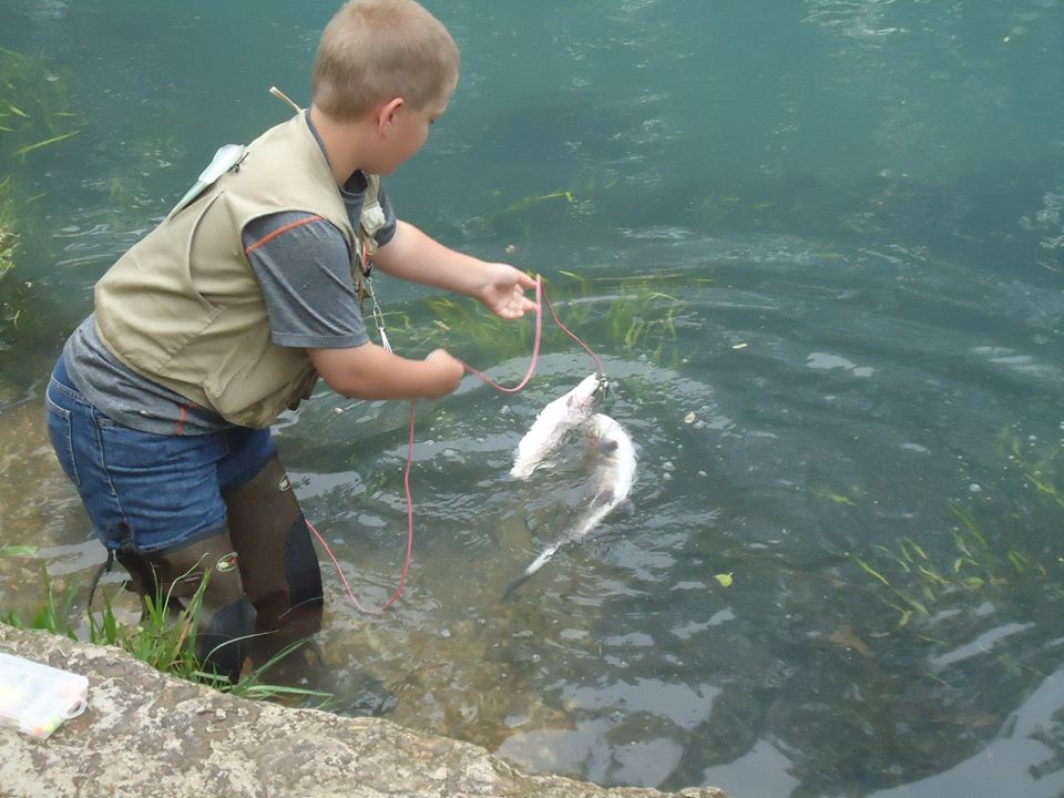 Kid's Fishing Day, putting his catch on a stringer.