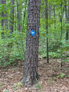 Leather Britches Trail at Maramec Spring Park is marked with a Blue Diamond.