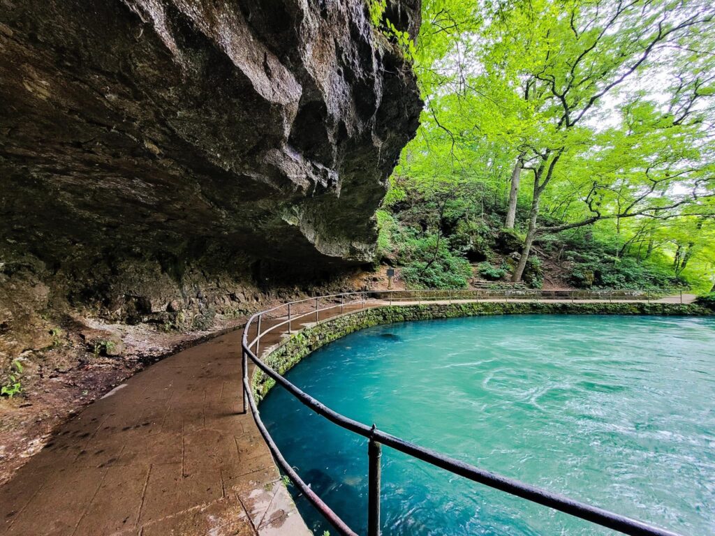 Maramec Spring, 5th Largest spring in Missouri. Photo by Tammie Leigh