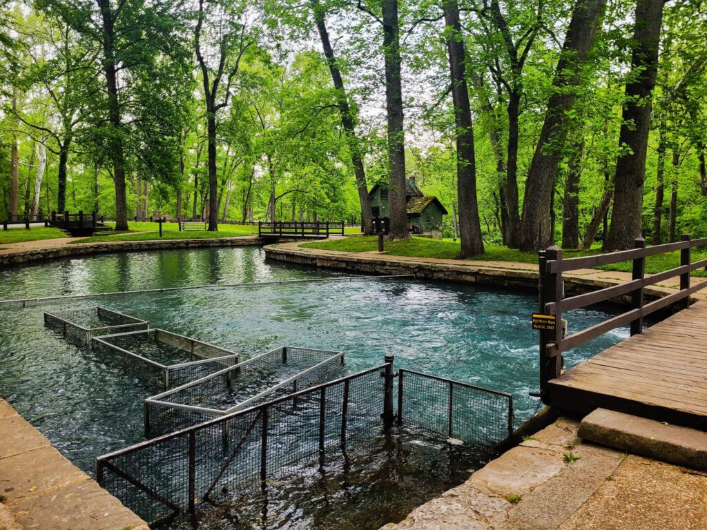 Rearing Pools at Maramec Spring, St. James MO Photo by Tammie Leigh