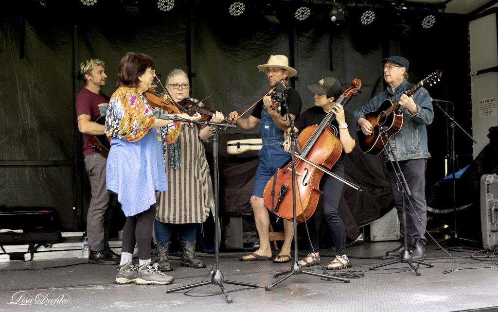 Folky Fish Fest, Jam Band, Maramec Spring Park, St. James MO.