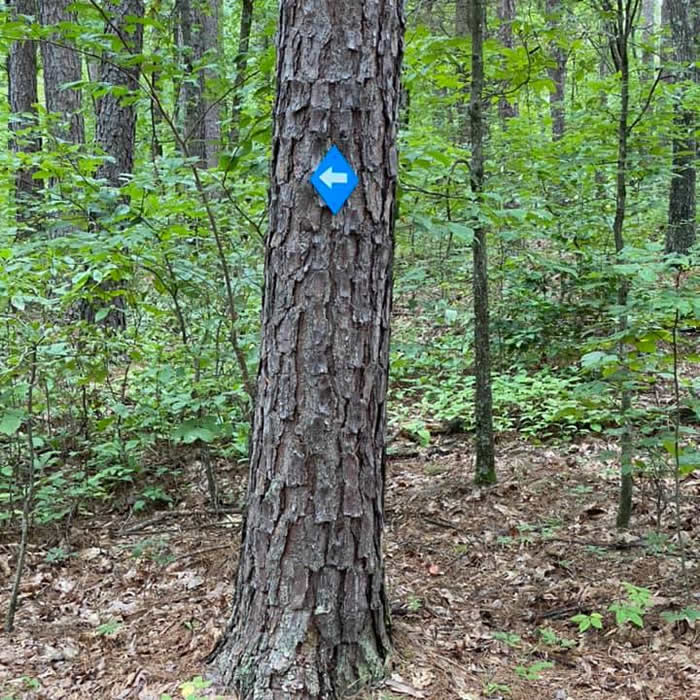 Blue Trail Markers on Leather Britches Hiking Trail, Maramec Spring Park